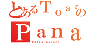 とあるＴｏａｒｕ のＰａｎａｓ（Ｐｕｔｏｓ ｈｏｒｎｙｓ）