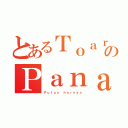 とあるＴｏａｒｕ のＰａｎａｓ（Ｐｕｔｏｓ ｈｏｒｎｙｓ）