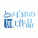 とある白帝の加工作品（オブジェ）