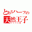 とあるハーフの天然王子（マリウス葉）