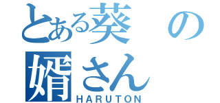 とある葵の婿さん（ＨＡＲＵＴＯＮ）