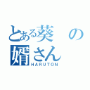 とある葵の婿さん（ＨＡＲＵＴＯＮ）