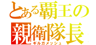 とある覇王の親衛隊長（ギルガメッシュ）