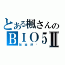 とある楓さんのＢＩＯ５Ⅱ（加油好嗎）