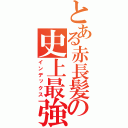 とある赤長髪の史上最強姉さん（インデックス）