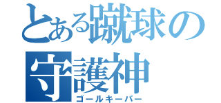 とある蹴球の守護神（ゴールキーパー）