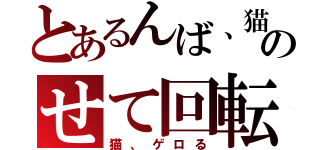 とあるんば、猫のせて回転（猫、ゲロる）