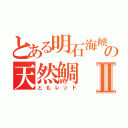 とある明石海峡の天然鯛Ⅱ（ともレッド）