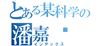 とある某科学の潘嘉乐（インデックス）