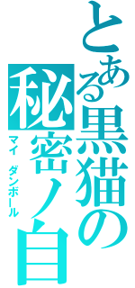 とある黒猫の秘密ノ自室（マイ　ダンボール）