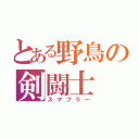 とある野鳥の剣闘士（スマブラー）