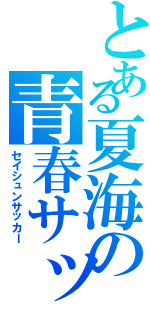 とある夏海の青春サッカー（セイシュンサッカー）