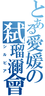 とある愛媛の弑瑠濔會（シルビア）