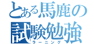 とある馬鹿の試験勉強（ラーニング）