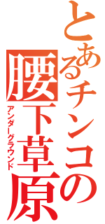 とあるチンコの腰下草原（アンダーグラウンド）