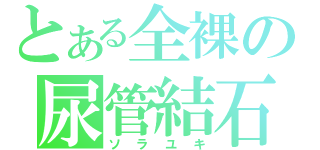 とある全裸の尿管結石（ソラユキ）