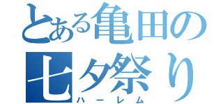 とある亀田の七夕祭り（ハーレム）