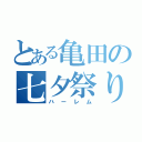 とある亀田の七夕祭り（ハーレム）