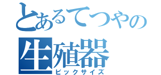 とあるてつやの生殖器（ビックサイズ）