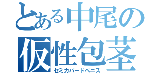 とある中尾の仮性包茎（セミカバードペニス）