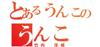 とあるうんこのうんこ（竹内 淳晴）