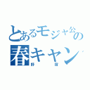 とあるモジャ公の春キャンプ（野宿）