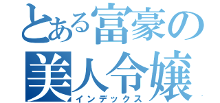 とある富豪の美人令嬢（インデックス）