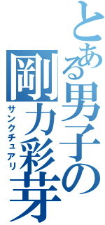 とある男子の剛力彩芽Ⅱ（サンクチュアリ）