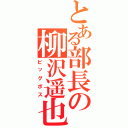 とある部長の柳沢遥也（ビッグボス）