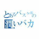 とあるバスケ部の潤いバカ（魚）