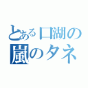 とある口湖の嵐のタネ（）