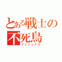 とある戦士の不死鳥（フェニックス）