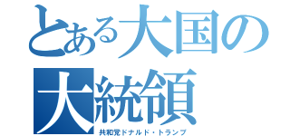 とある大国の大統領（共和党ドナルド・トランプ）