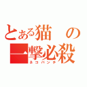 とある猫の一撃必殺（ネコパンチ）