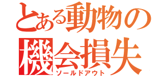 とある動物の機会損失（ソールドアウト）