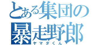 とある集団の暴走野郎（ヤマダくん）