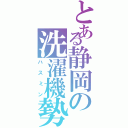 とある静岡の洗濯機勢（ハスミン）