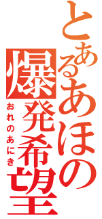 とあるあほの爆発希望（おれのあにき）