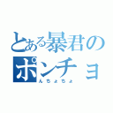 とある暴君のポンチョ（んちょちょ）