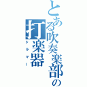 とある吹奏楽部の打楽器（ドラマー）