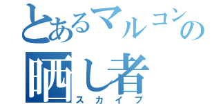 とあるマルコンの晒し者（スカイプ）