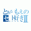 とあるもえのセト好きⅡ（だいすき）