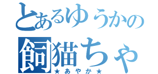 とあるゆうかの飼猫ちゃん（★あやか★）