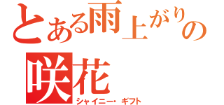 とある雨上がりの咲花（シャイニー・ギフト）