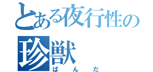 とある夜行性の珍獣（ぱんだ）