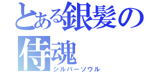 とある銀髪の侍魂（シルバーソウル）