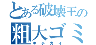 とある破壊王の粗大ゴミ（キチガイ）