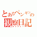 とあるペンギンの観察日記（ダイアリー）