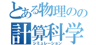 とある物理のの計算科学（シミュレーション）