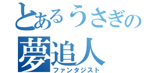 とあるうさぎの夢追人（ファンタジスト）